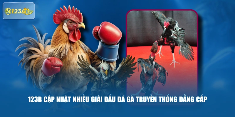123B Cập Nhật Nhiều Giải Đấu Đá Gà Truyền Thống Đẳng Cấp