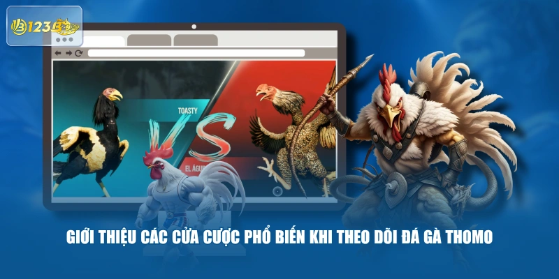 Giới Thiệu Các Cửa Cược Phổ Biến Khi Theo Dõi Đá Gà Thomo