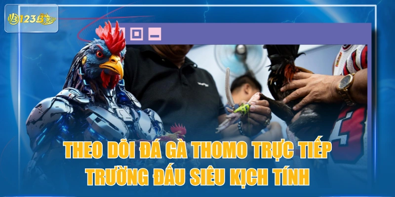 Theo Dõi Đá Gà Thomo Trực Tiếp Trường Đấu Siêu Kịch Tính
