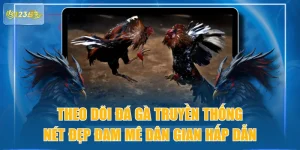 Theo Dõi Đá Gà Truyền Thống Nét Đẹp Đam Mê Dân Gian Hấp Dẫn